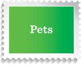 <b>Pets</b>
